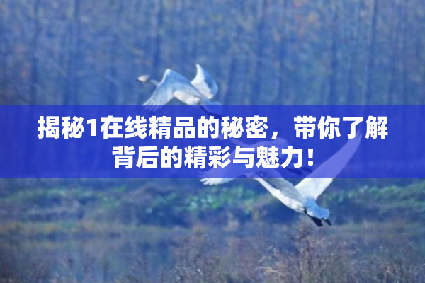 揭秘1在线精品的秘密，带你了解背后的精彩与魅力！