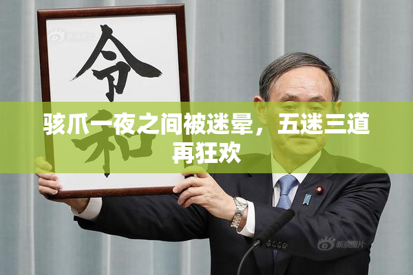 骇爪一夜之间被迷晕，五迷三道再狂欢