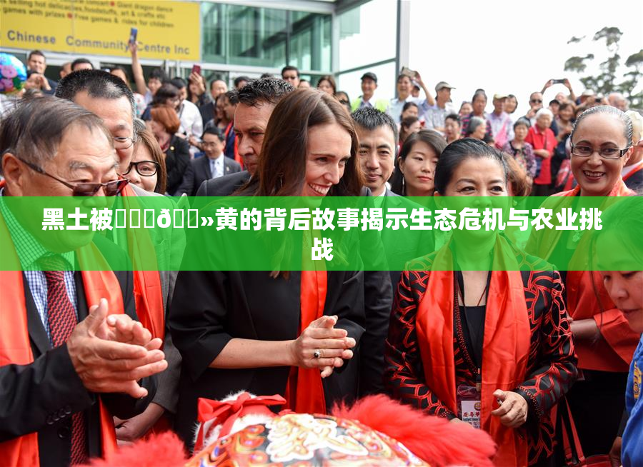 黑土被❌‌‌🐻黄的背后故事揭示生态危机与农业挑战