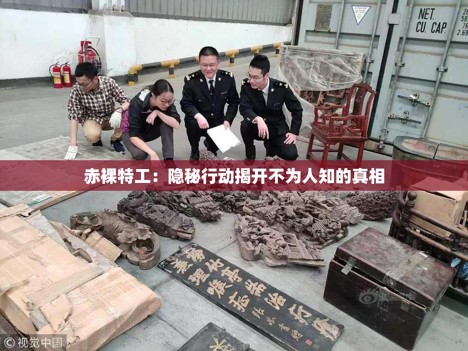 赤裸特工：隐秘行动揭开不为人知的真相