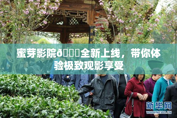 蜜芽影院🔞全新上线，带你体验极致观影享受