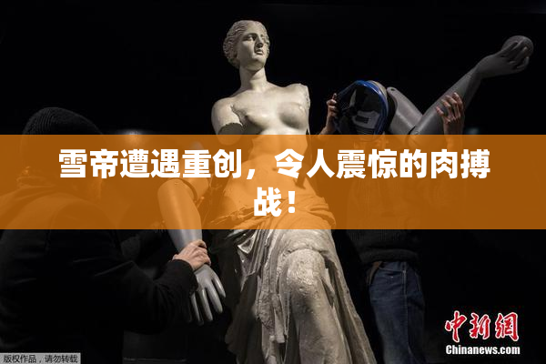 雪帝遭遇重创，令人震惊的肉搏战！