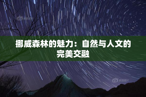 挪威森林的魅力：自然与人文的完美交融