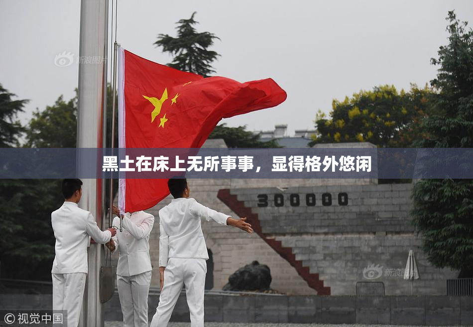 黑土在床上无所事事，显得格外悠闲