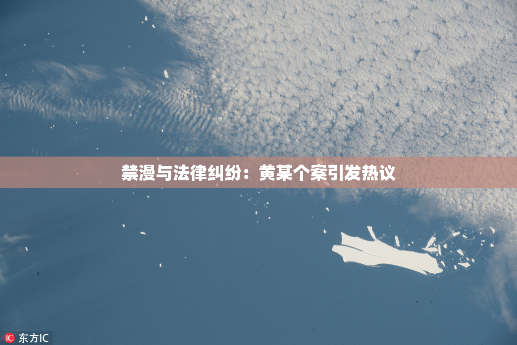 禁漫与法律纠纷：黄某个案引发热议