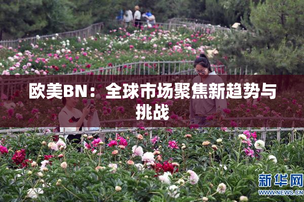 欧美BN：全球市场聚焦新趋势与挑战