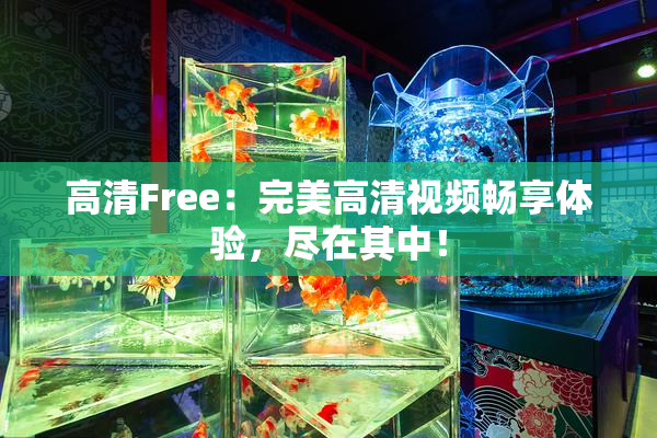 高清Free：完美高清视频畅享体验，尽在其中！