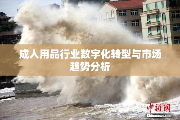 成人用品行业数字化转型与市场趋势分析