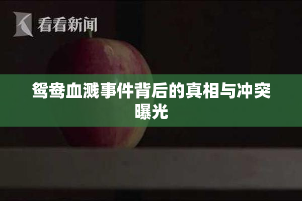 鸳鸯血溅事件背后的真相与冲突曝光