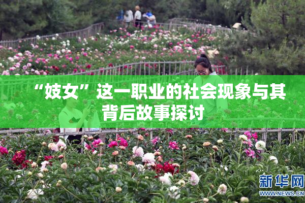 “妓女”这一职业的社会现象与其背后故事探讨