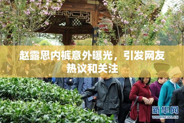 赵露思内裤意外曝光，引发网友热议和关注