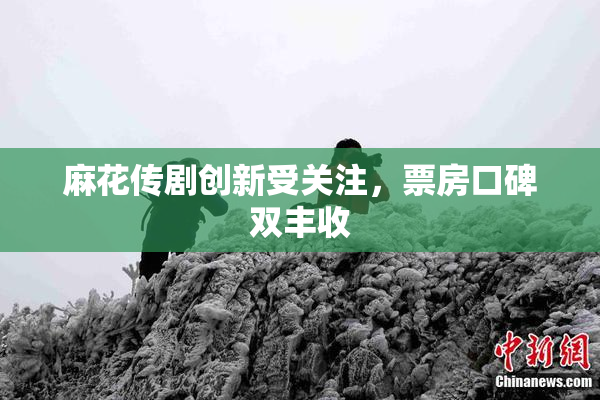 麻花传剧创新受关注，票房口碑双丰收