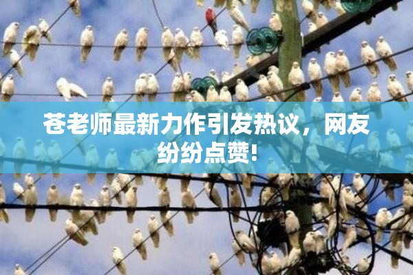 苍老师最新力作引发热议，网友纷纷点赞!
