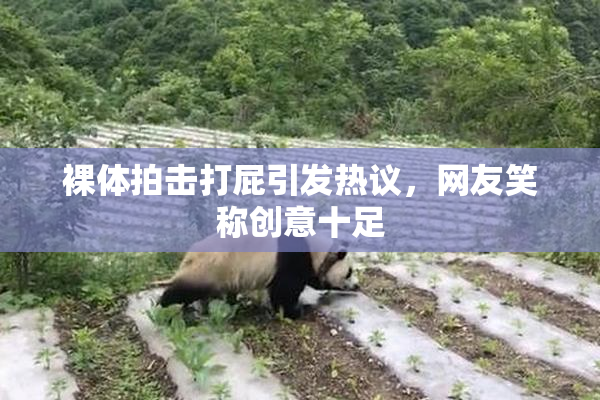 裸体拍击打屁引发热议，网友笑称创意十足
