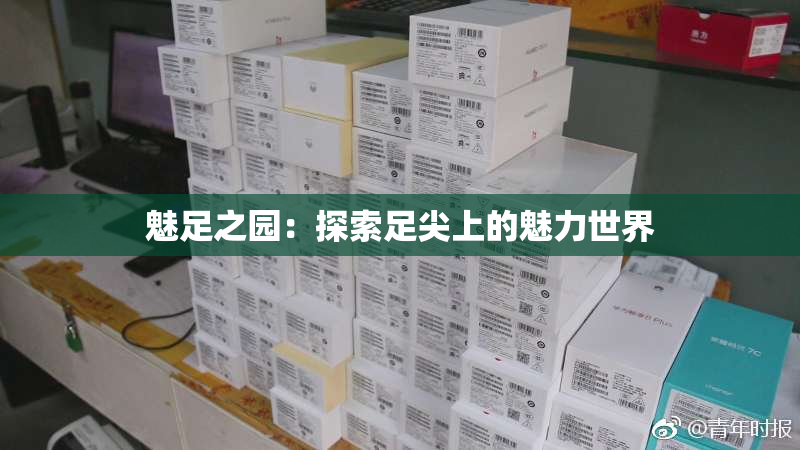 魅足之园：探索足尖上的魅力世界
