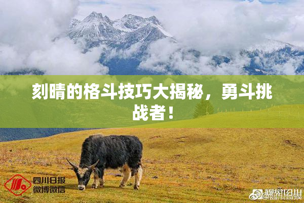 刻晴的格斗技巧大揭秘，勇斗挑战者！
