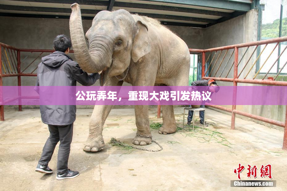公玩弄年，重现大戏引发热议