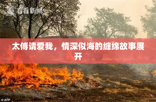 太傅请爱我，情深似海的缠绵故事展开