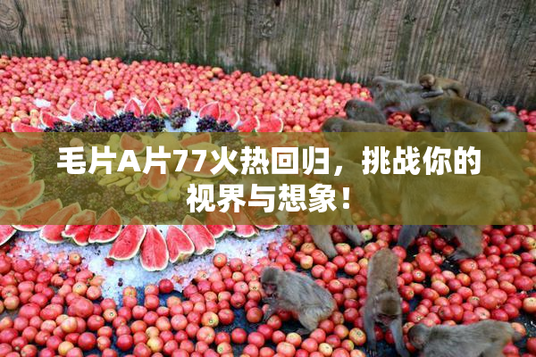 毛片A片77火热回归，挑战你的视界与想象！