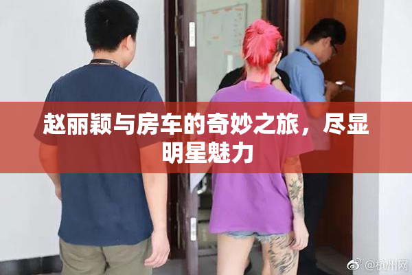 赵丽颖与房车的奇妙之旅，尽显明星魅力