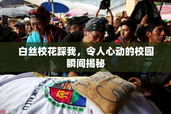 白丝校花踩我，令人心动的校园瞬间揭秘