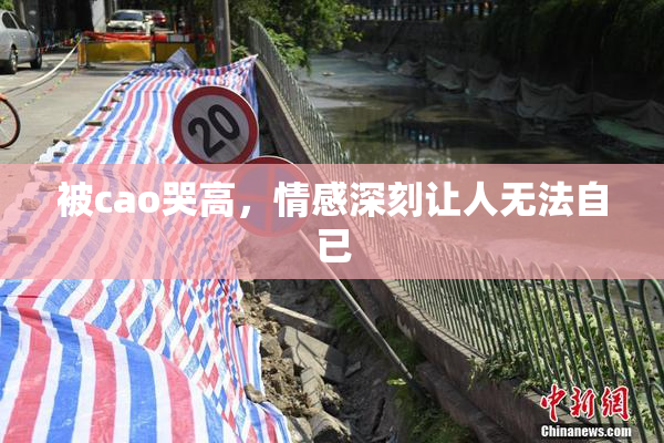 被cao哭高，情感深刻让人无法自已
