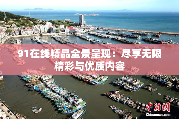 91在线精品全景呈现：尽享无限精彩与优质内容