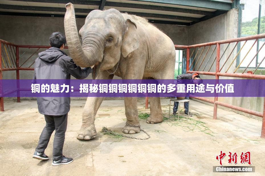 铜的魅力：揭秘铜铜铜铜铜铜的多重用途与价值