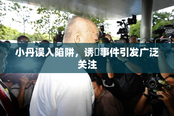 小丹误入陷阱，诱奷事件引发广泛关注