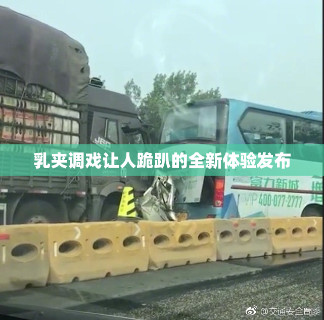 乳夹调戏让人跪趴的全新体验发布