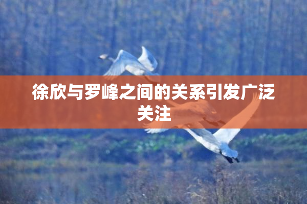 徐欣与罗峰之间的关系引发广泛关注
