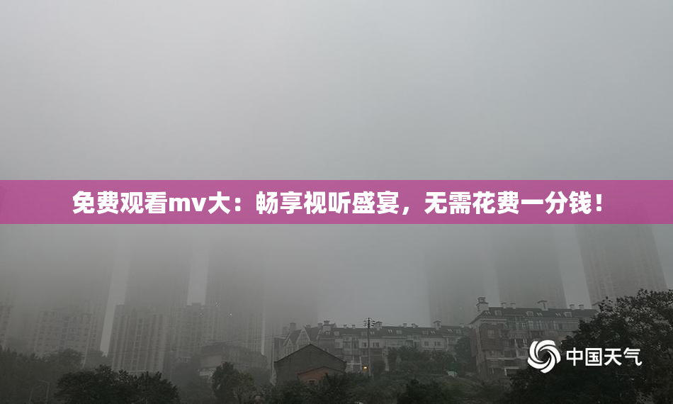 免费观看mv大：畅享视听盛宴，无需花费一分钱！