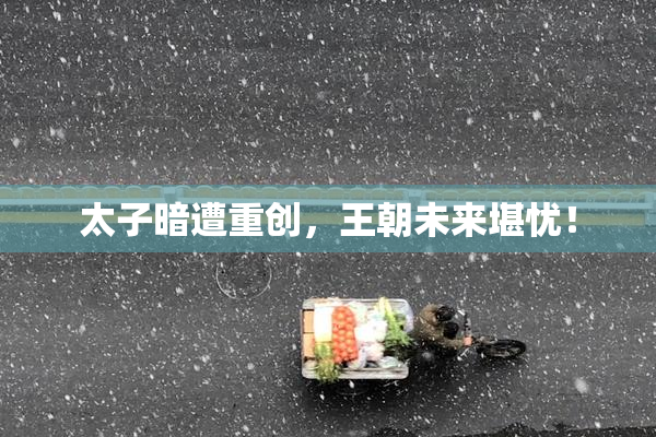 太子暗遭重创，王朝未来堪忧！