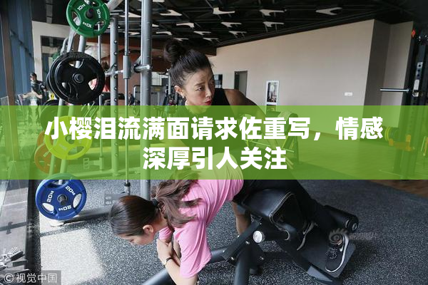 小樱泪流满面请求佐重写，情感深厚引人关注