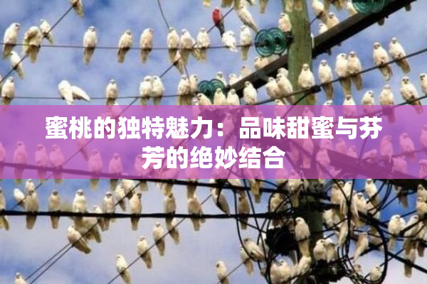 蜜桃的独特魅力：品味甜蜜与芬芳的绝妙结合