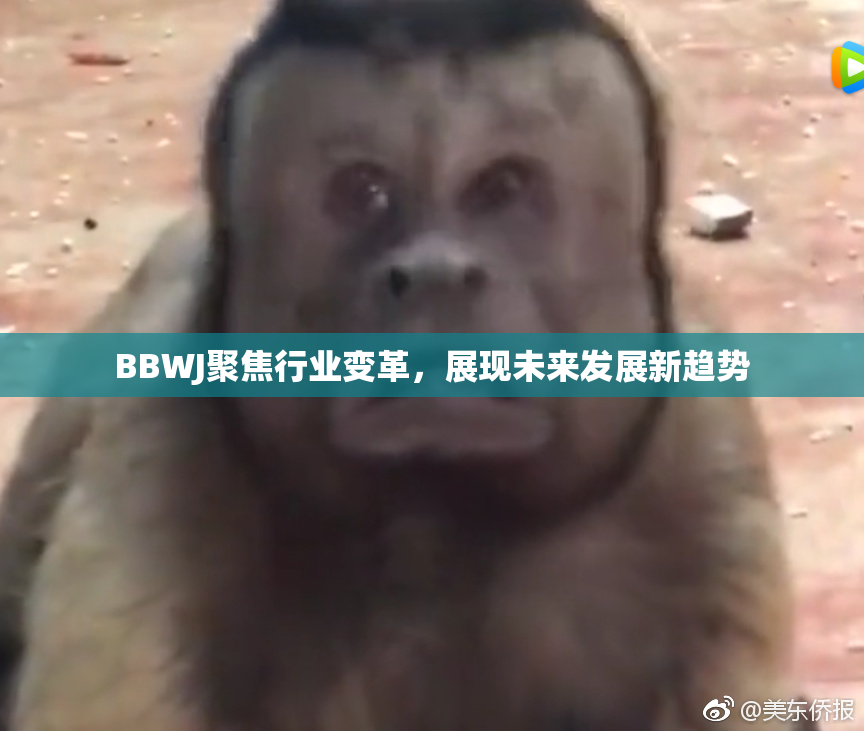 BBWJ聚焦行业变革，展现未来发展新趋势
