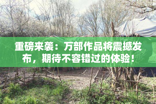 重磅来袭：万部作品将震撼发布，期待不容错过的体验！