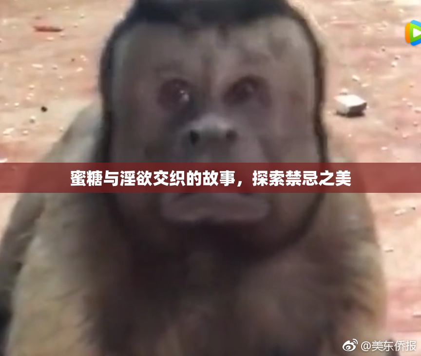 蜜糖与淫欲交织的故事，探索禁忌之美