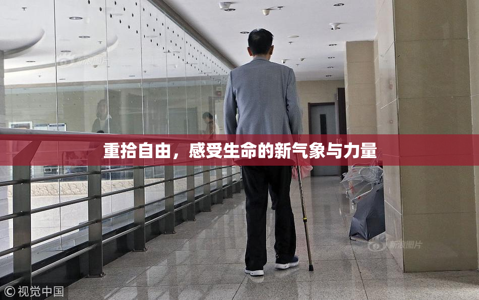 重拾自由，感受生命的新气象与力量