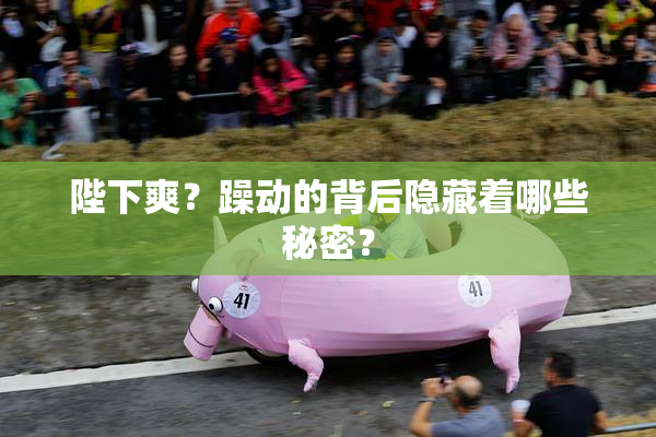 陛下爽？躁动的背后隐藏着哪些秘密？