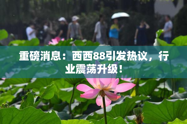 重磅消息：西西88引发热议，行业震荡升级！