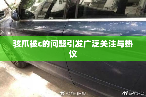 骇爪被c的问题引发广泛关注与热议
