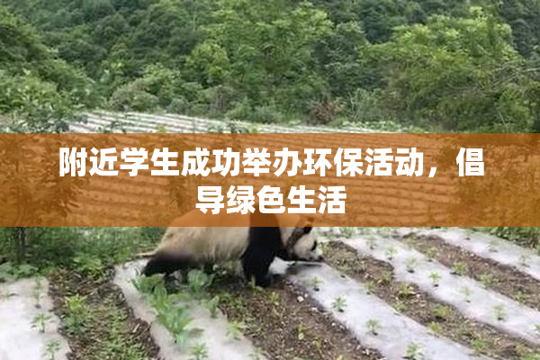 附近学生成功举办环保活动，倡导绿色生活