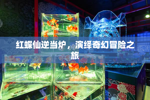 红蝶仙逆当炉，演绎奇幻冒险之旅
