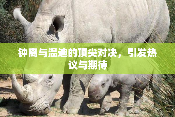 钟离与温迪的顶尖对决，引发热议与期待