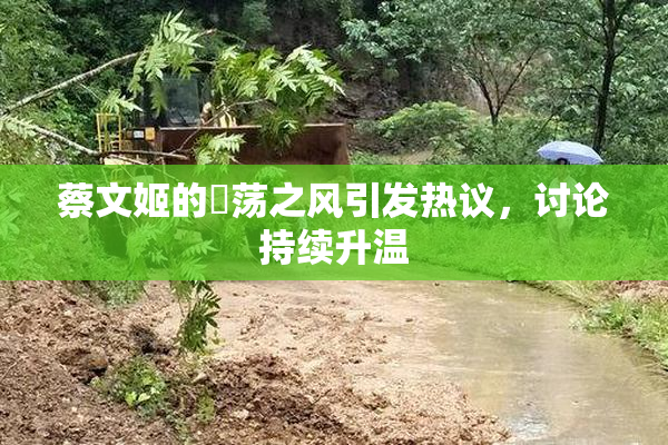 蔡文姬的婬荡之风引发热议，讨论持续升温