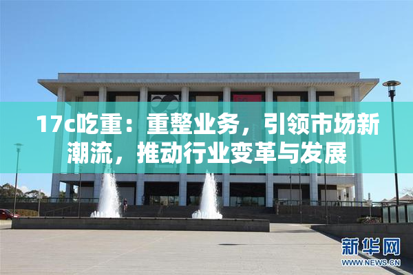 17c吃重：重整业务，引领市场新潮流，推动行业变革与发展