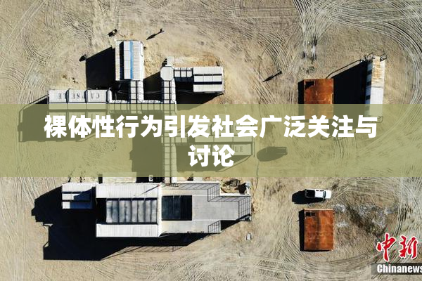 裸体性行为引发社会广泛关注与讨论