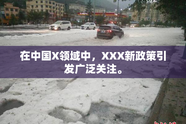 在中国X领域中，XXX新政策引发广泛关注。