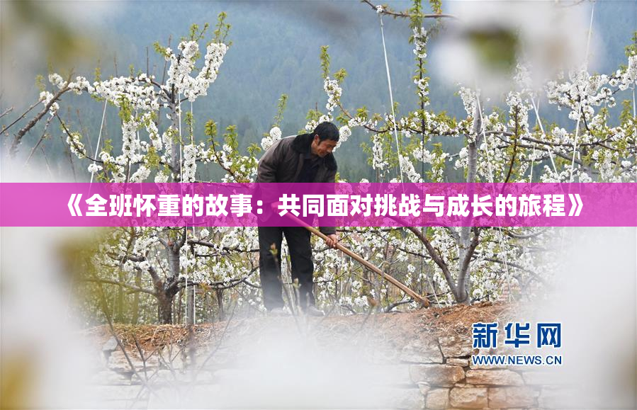 《全班怀重的故事：共同面对挑战与成长的旅程》